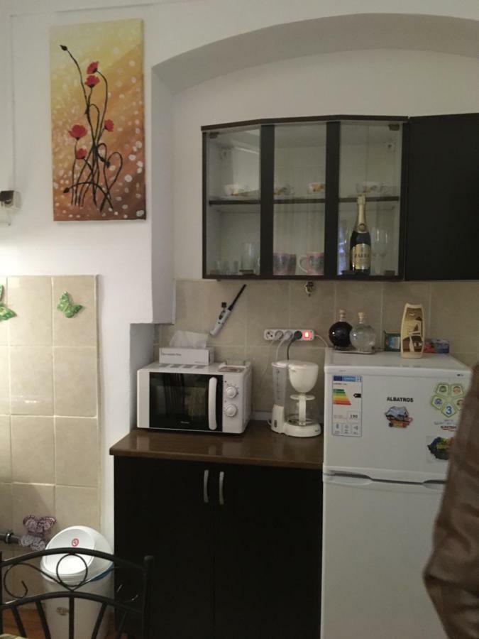 House Centrul Istoric Apartment *